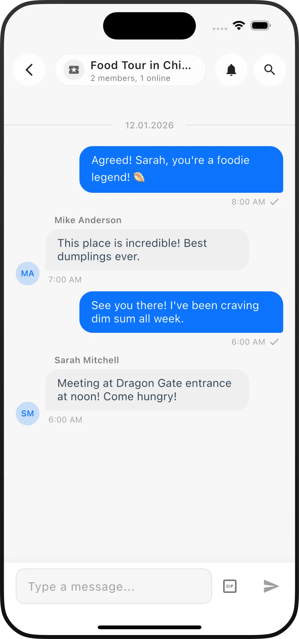 Chat interface for messaging other travelers
